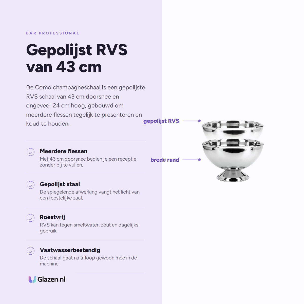 Infographic met de eigenschappen van Bar Professional Como Champagneschaal RVS 43 Cm
