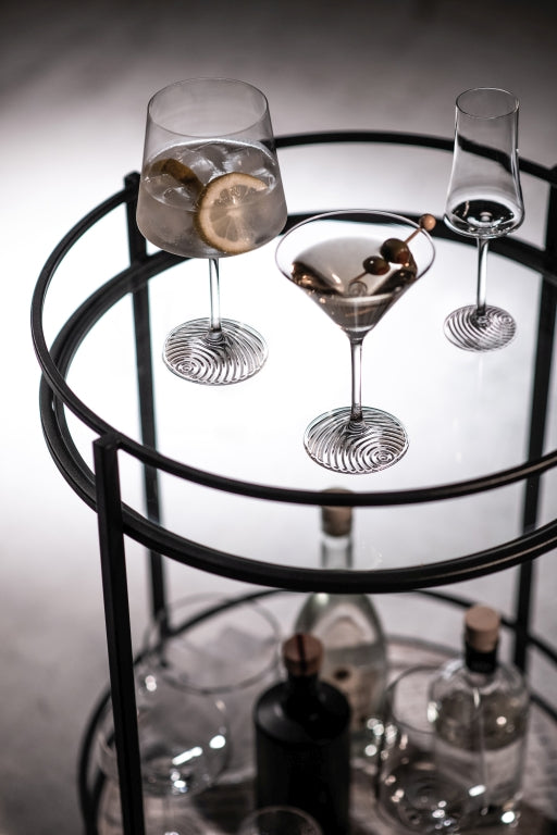 Zwiesel Glas Echo copa de martini 16,6 Cl - 4 unidades